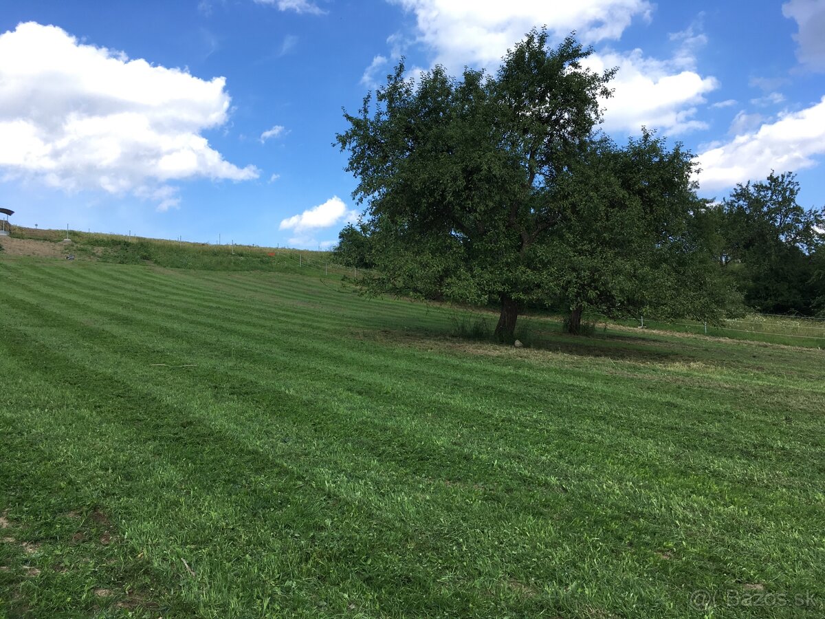 Ustajnenie koní na ORAVE - 7