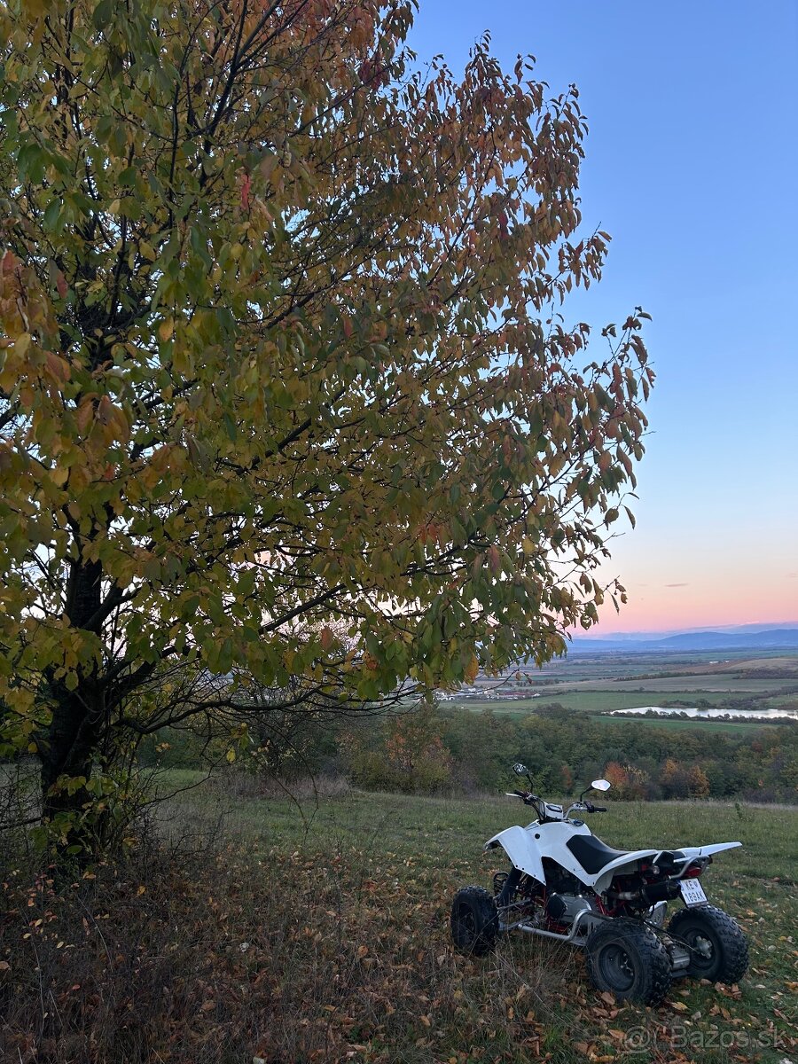 Access Tomahawk 300R - 7