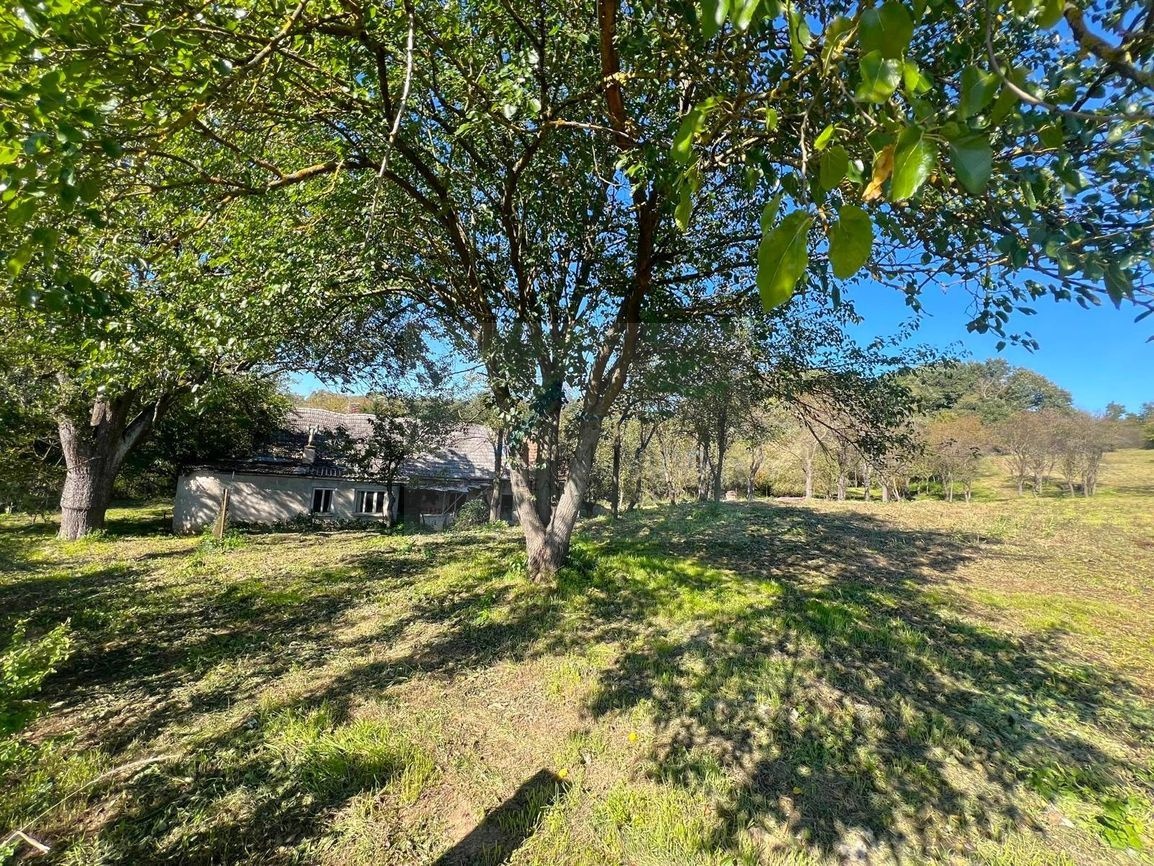 PREDAJ DOM s lesom 7714 m2 Bánovce nad Bebr. - 7