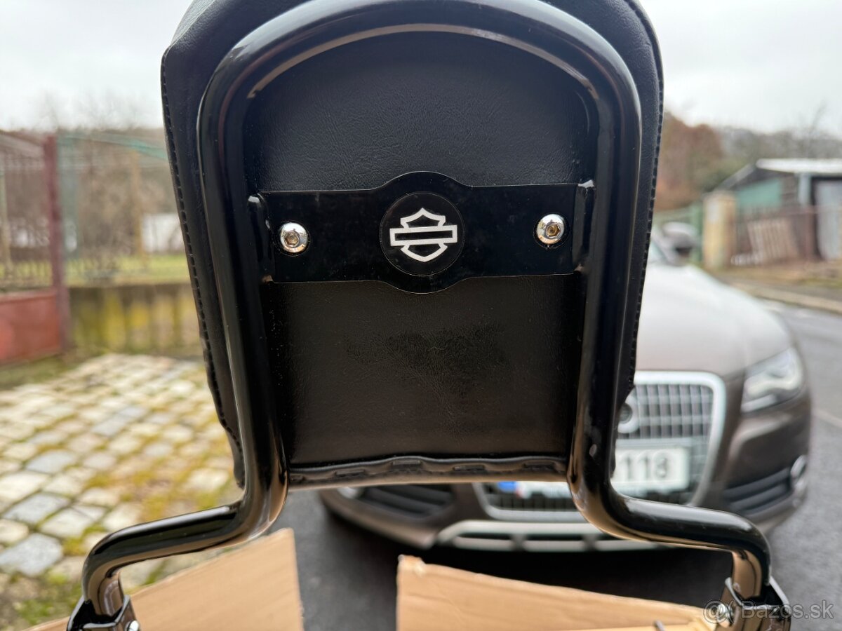 HARLEY DAVIDSON® BREAKOUT FXSB Sissybar - 7