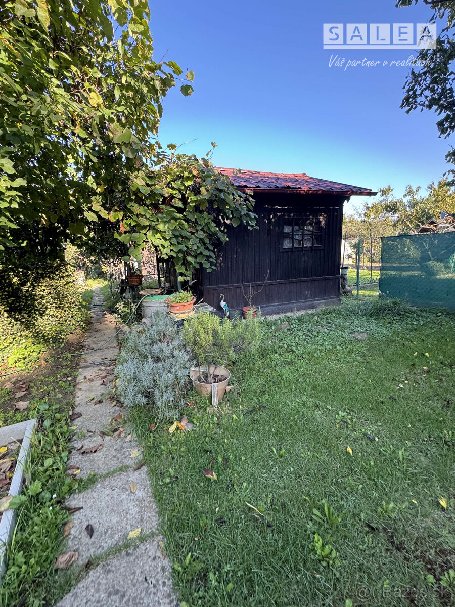 Záhrada 293 m2 v Šali pri tenisových kurtoch - 7