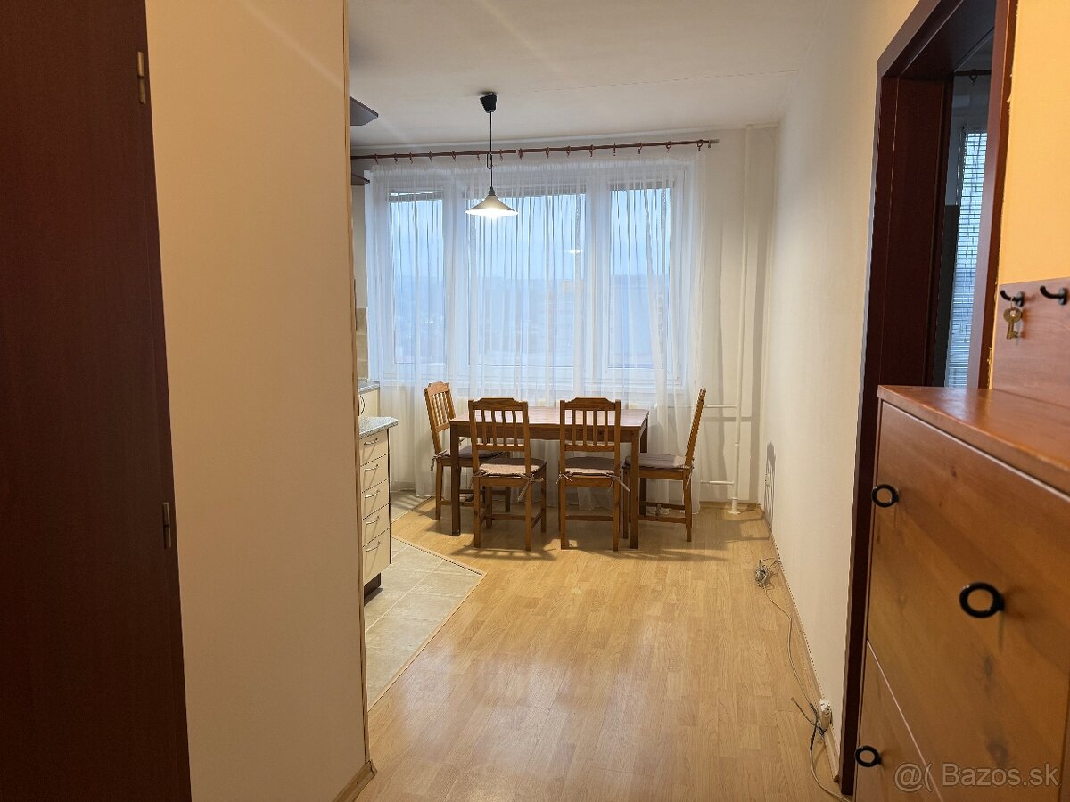 Na prenájom 1 izbový byt pri auparku - Voľný ihned - 7