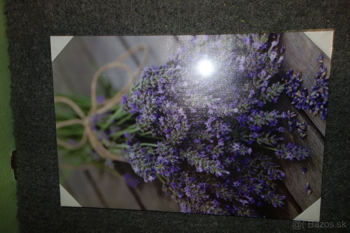 predám obrázky - 7