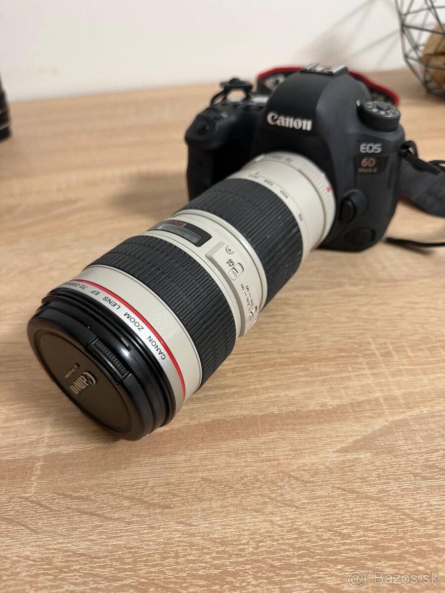 Canon EOS 6D Mark 2 - 7