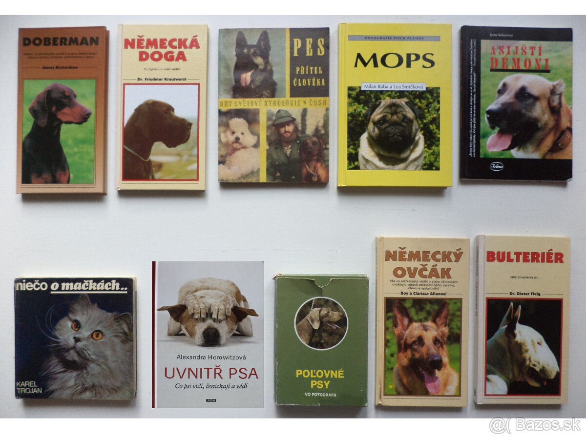 zvieratá, príroda, chov 1 - 7