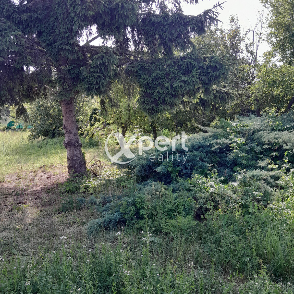 Predaj pekný pozemok 650m2 v Šamoríne časť Čilistov - 7