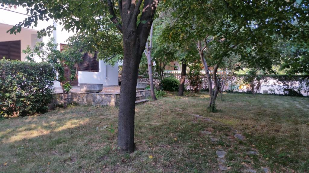 CHORVÁTSKO - 2. rad od mora - apartmánový dom - VRSI, Zadar - 7