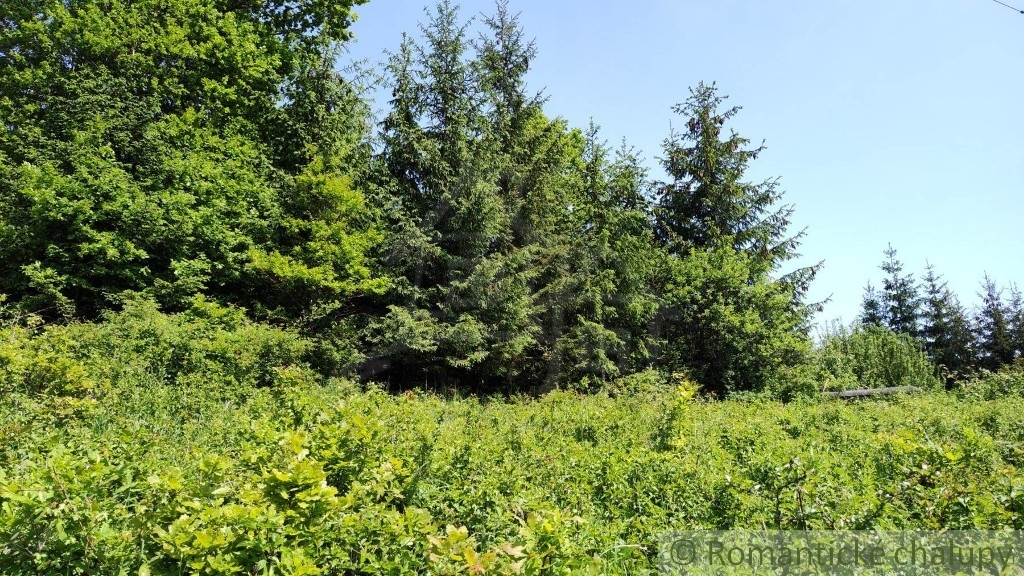 Rekreačný pozemok nad obcou Kolárovice - 7