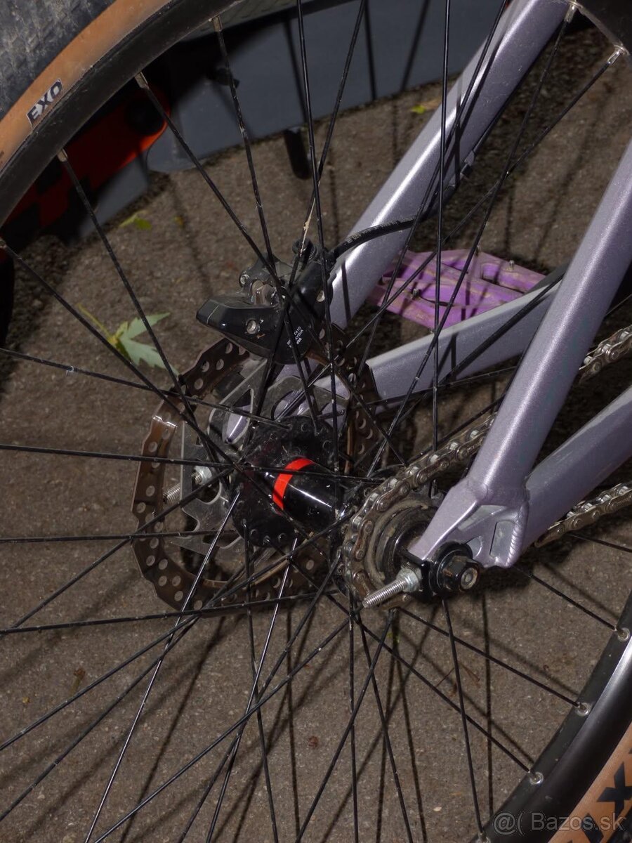 CTM Dirtking 2023 - 7