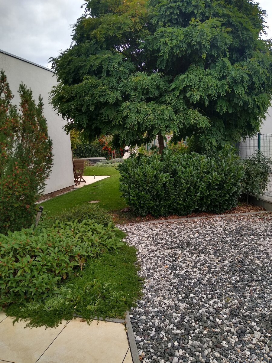 Bývajte na adrese s prívlastkom "" čistý vzduch "" - 7