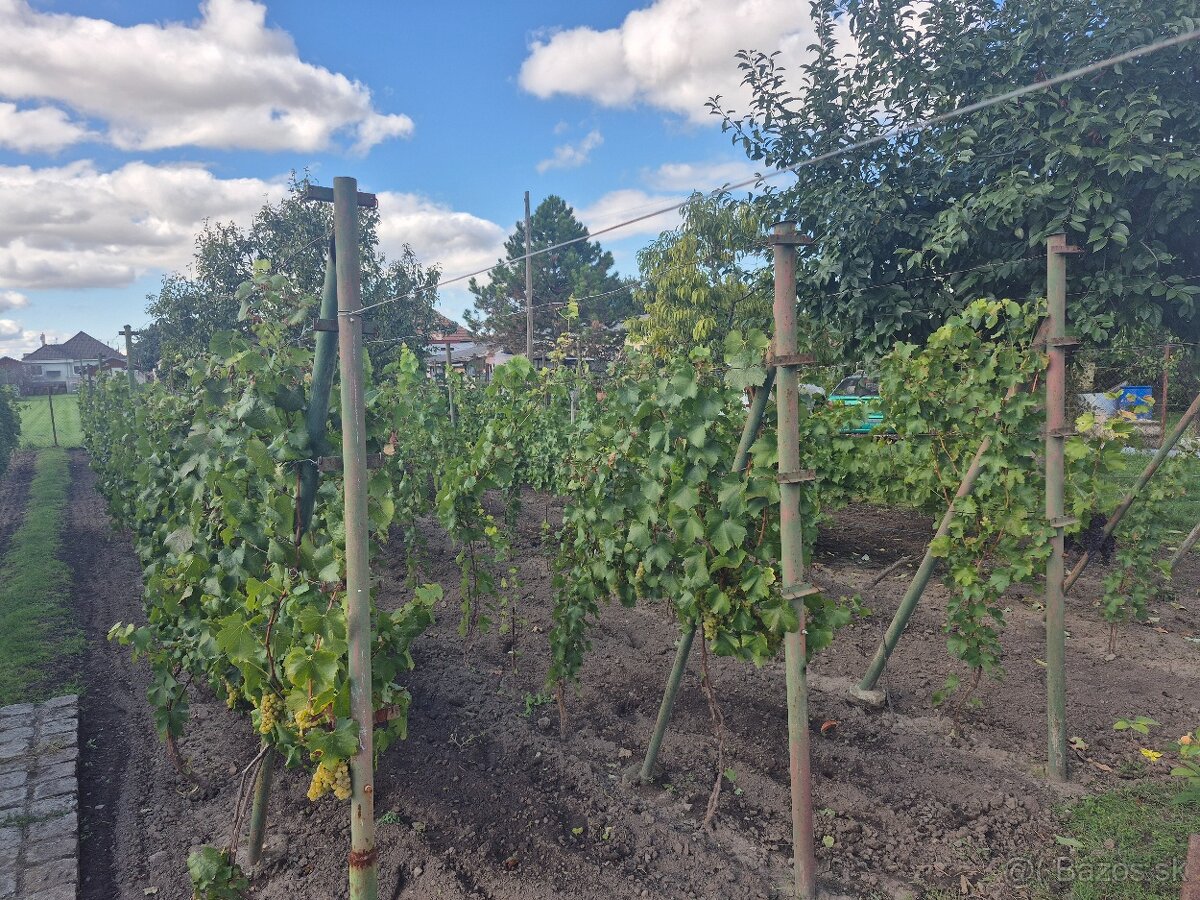 RD v obci Jelšovce - 7