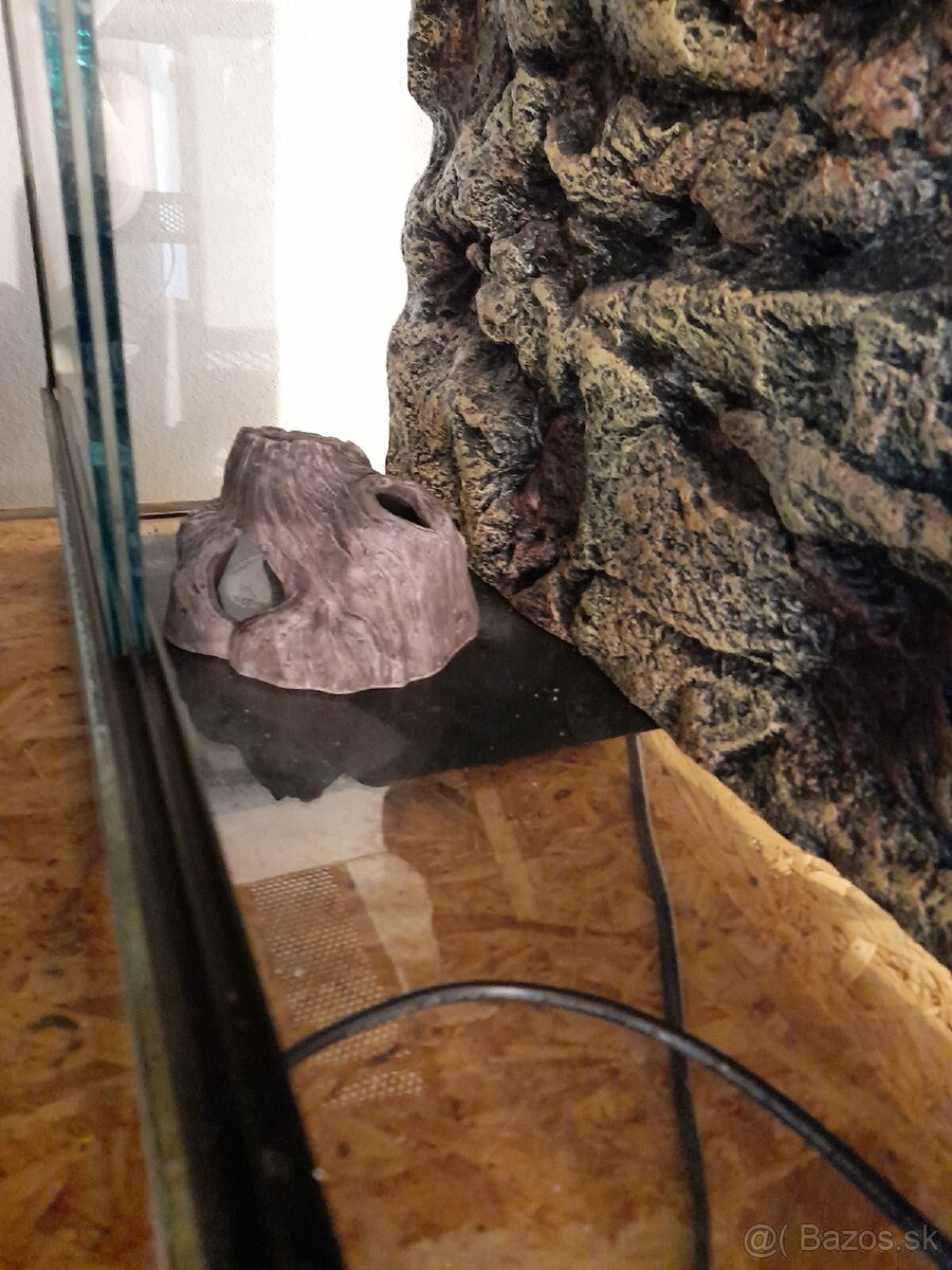 Terarium 60x25x30cm - 7