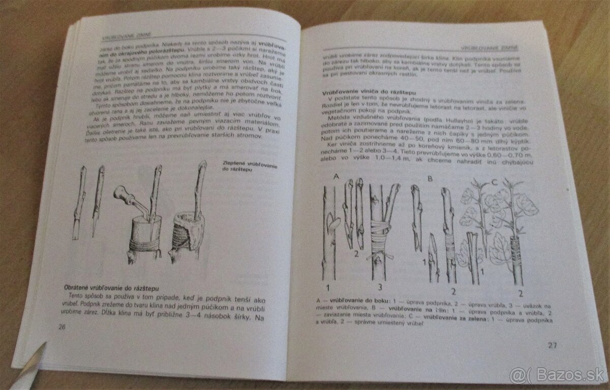 Vrúbľovanie, očkovanie, rozmnožovanie - 7
