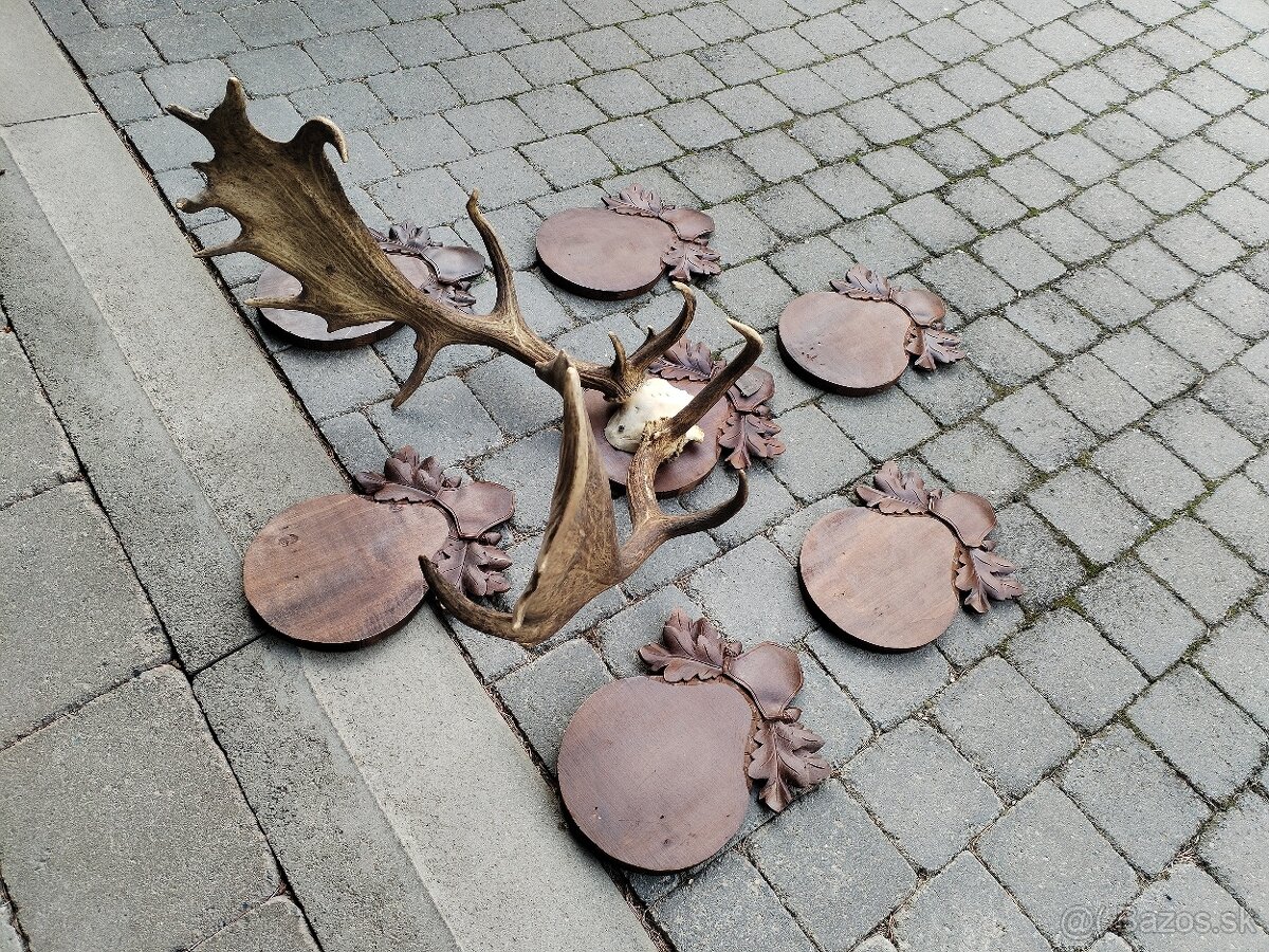 Trofej daniela +podložky - 7