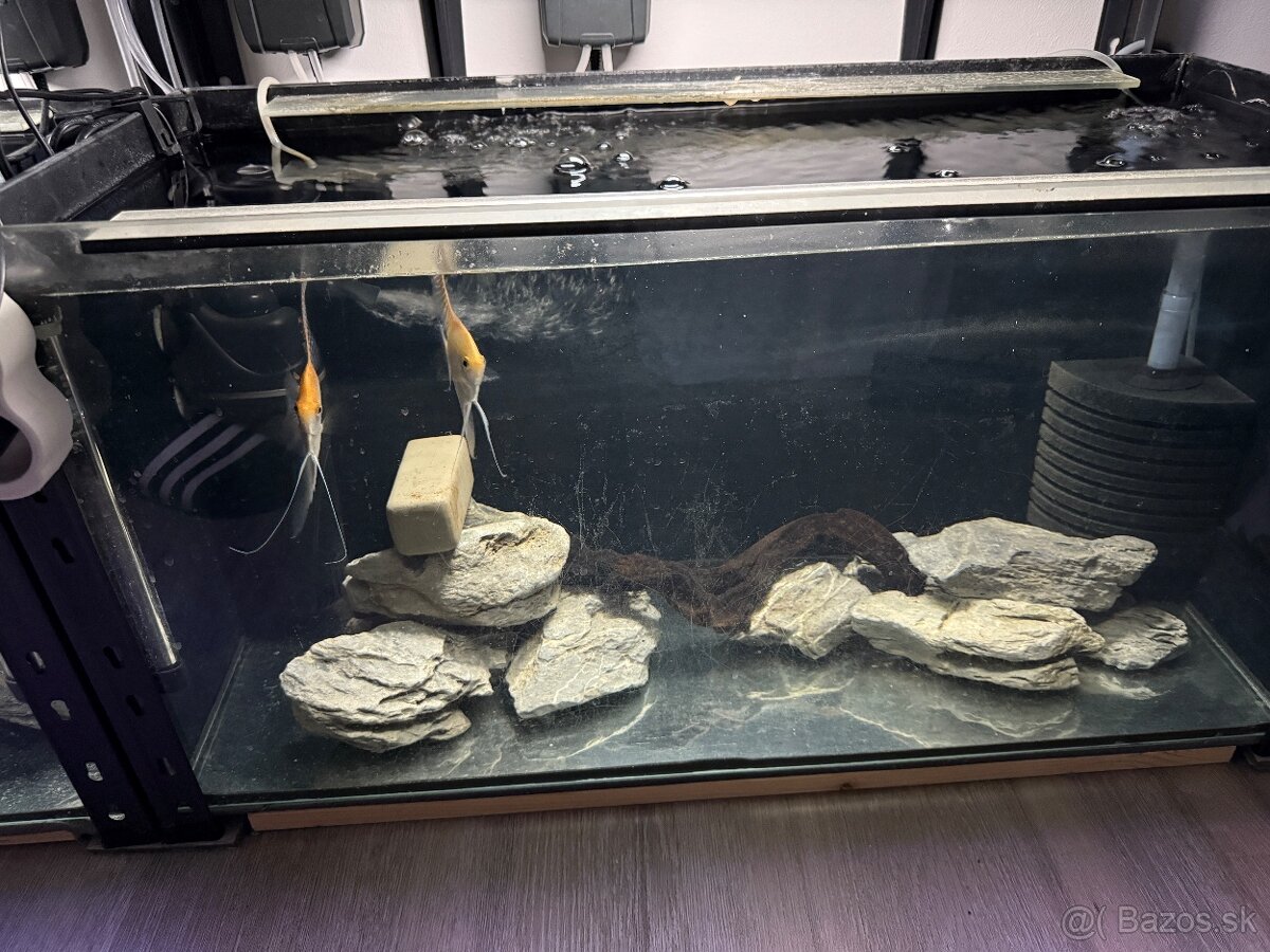Regály s akváriami, technikou a rybičkami - 7