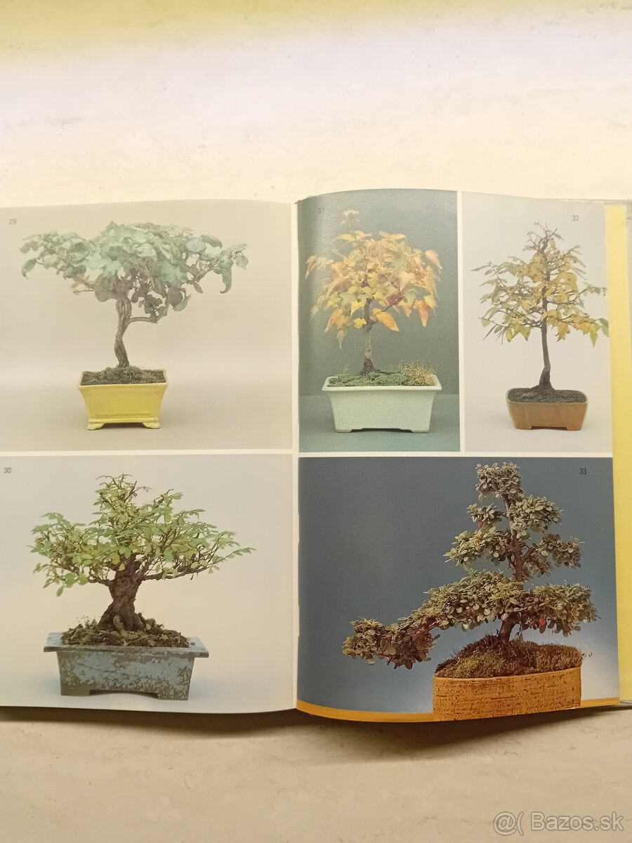 Kniha : BONSAI - 7