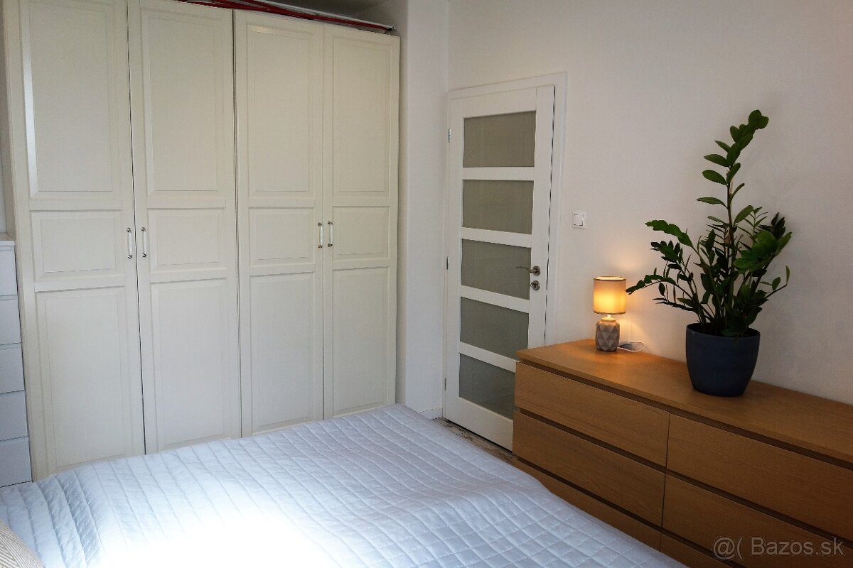 Prenájom 2 izbového bytu Nivy - 7