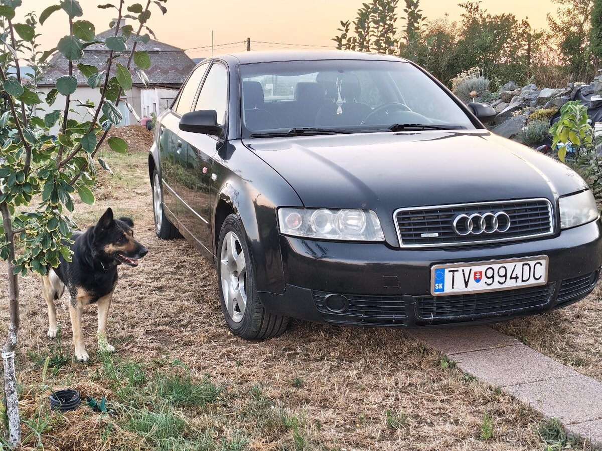 Audi A4 B6 1.9 TDI 96KW - 7