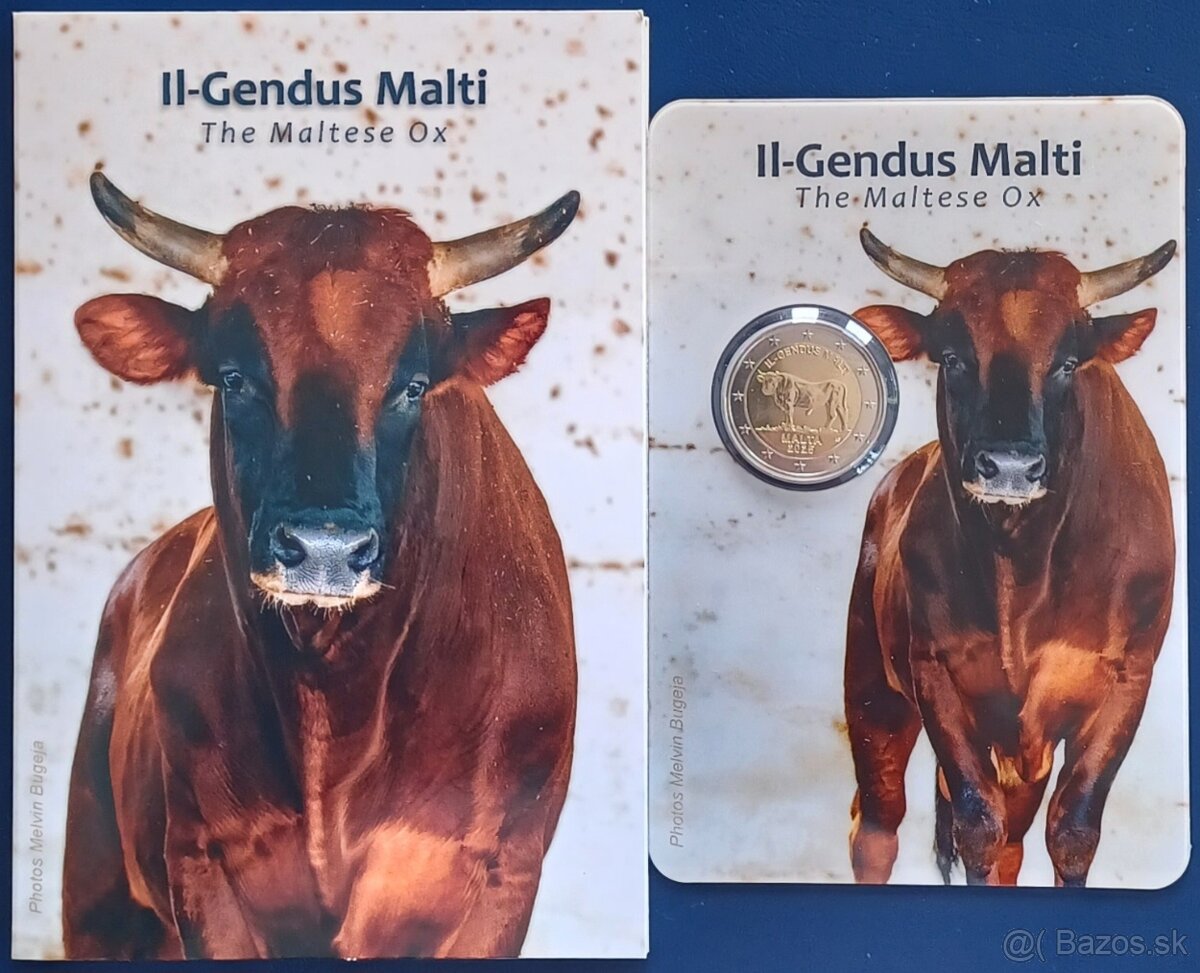 Euromince z roku 2025 - 7