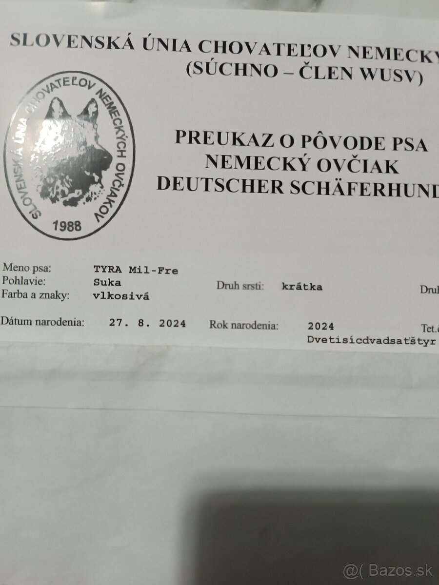 Nemecký ovčiak - 7