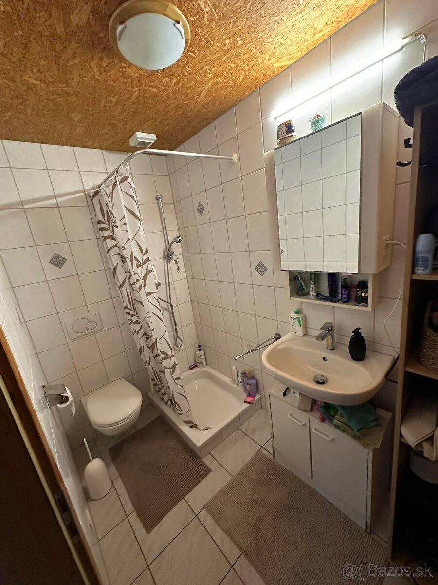 Jednoizbový byt - 7