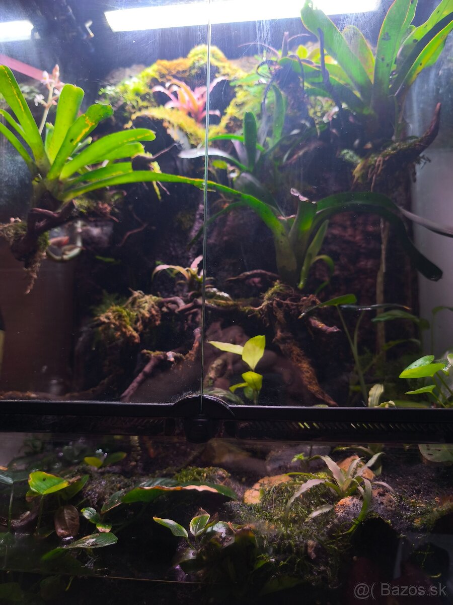 Predám terárium - 7