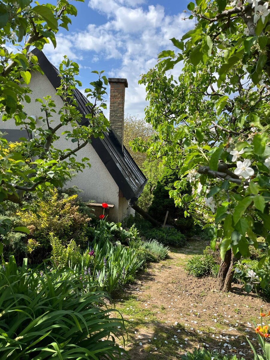 PREDAJ - Viničný dom s vinicou, Staré Predné Levice - 7