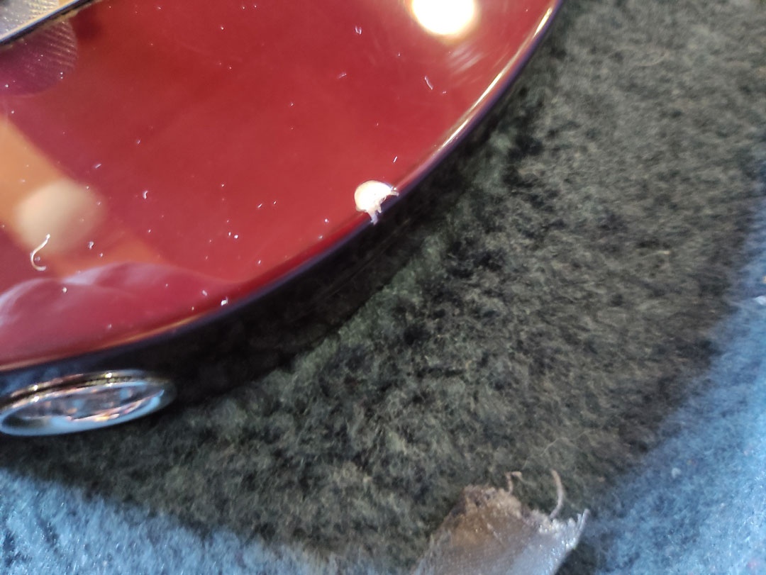 Fender Telecaster Mexico - 7