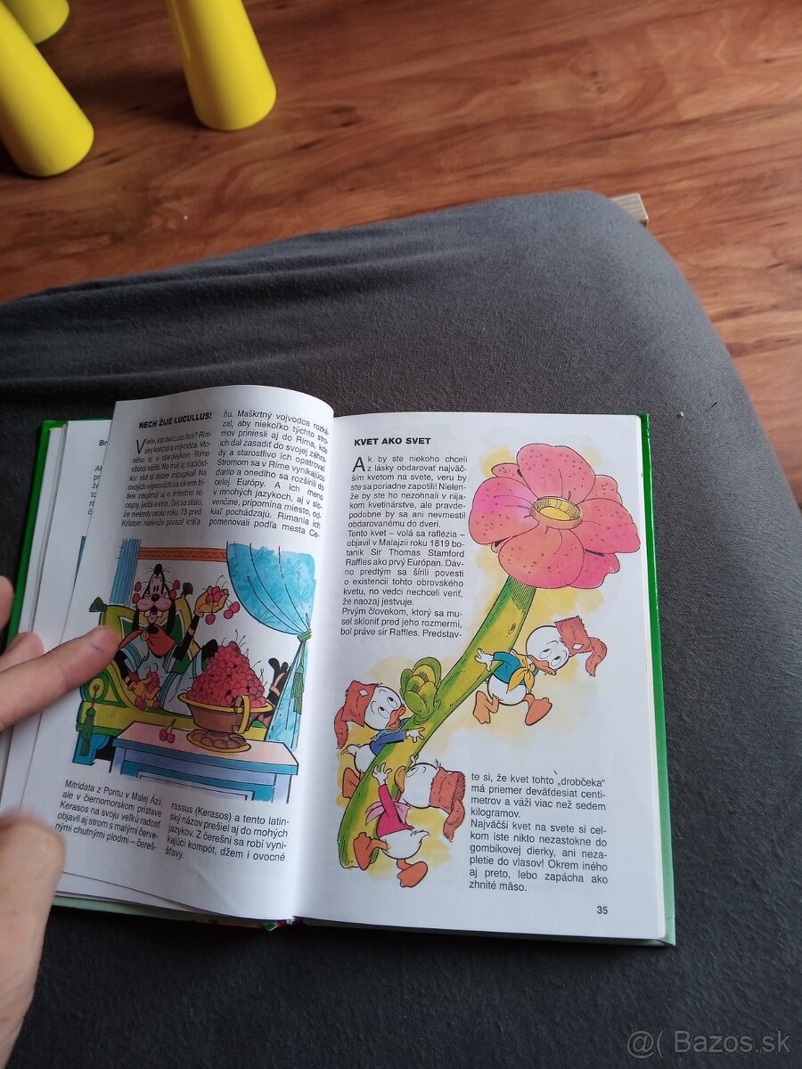 Príručka mladých svistou 5.Kacer Donald.Ducktales. - 7