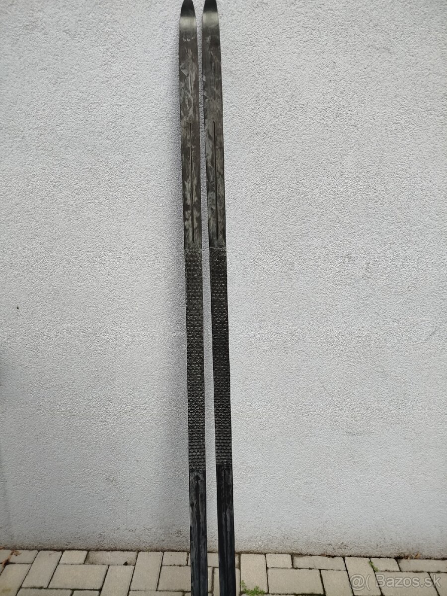 Bezky Atomic(supinace)+ palice - 7