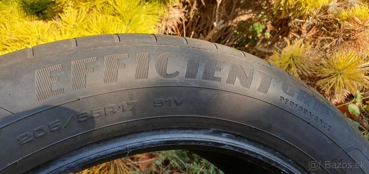 GOODYEAR EFFICIENT GRIP, LETNE, 205/55 R17, 91V, - 7