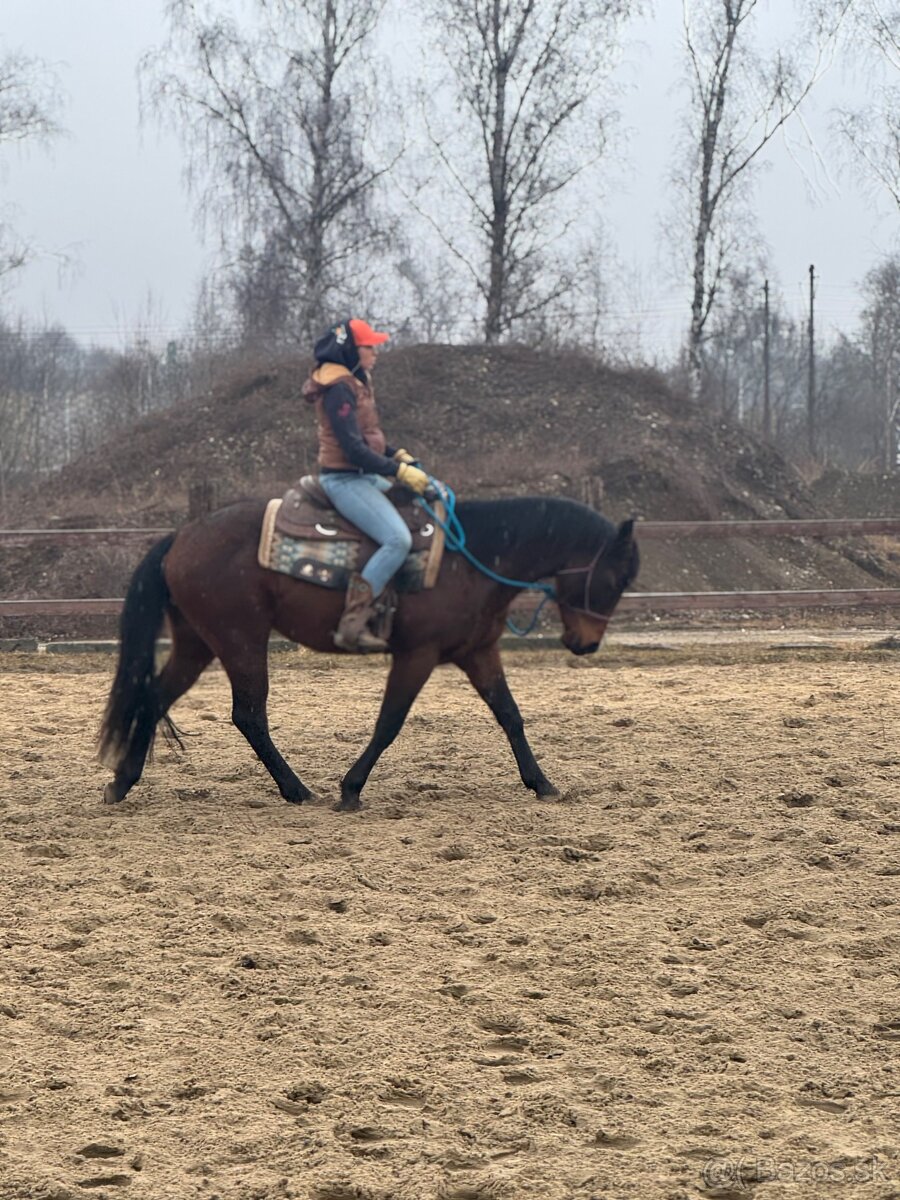 tréning koní - obsadanie - 7