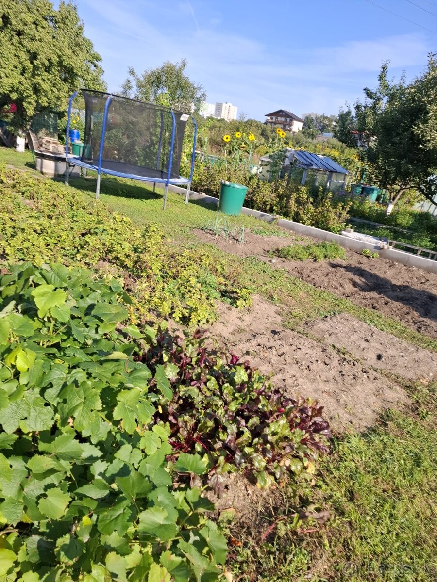 Záhrada sídl. Mier, Sp. Nová Ves - 7