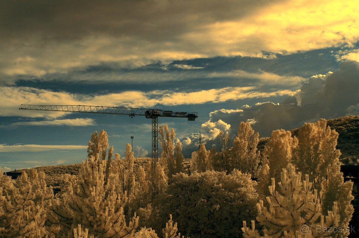 Olympus E-M1 - po IR konverzii 720 nm - 7