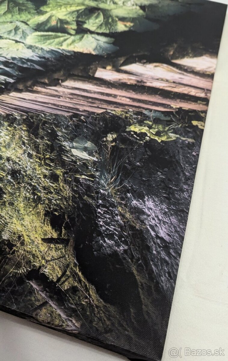 Predám fotobraz Tomašovská Belá
- 7