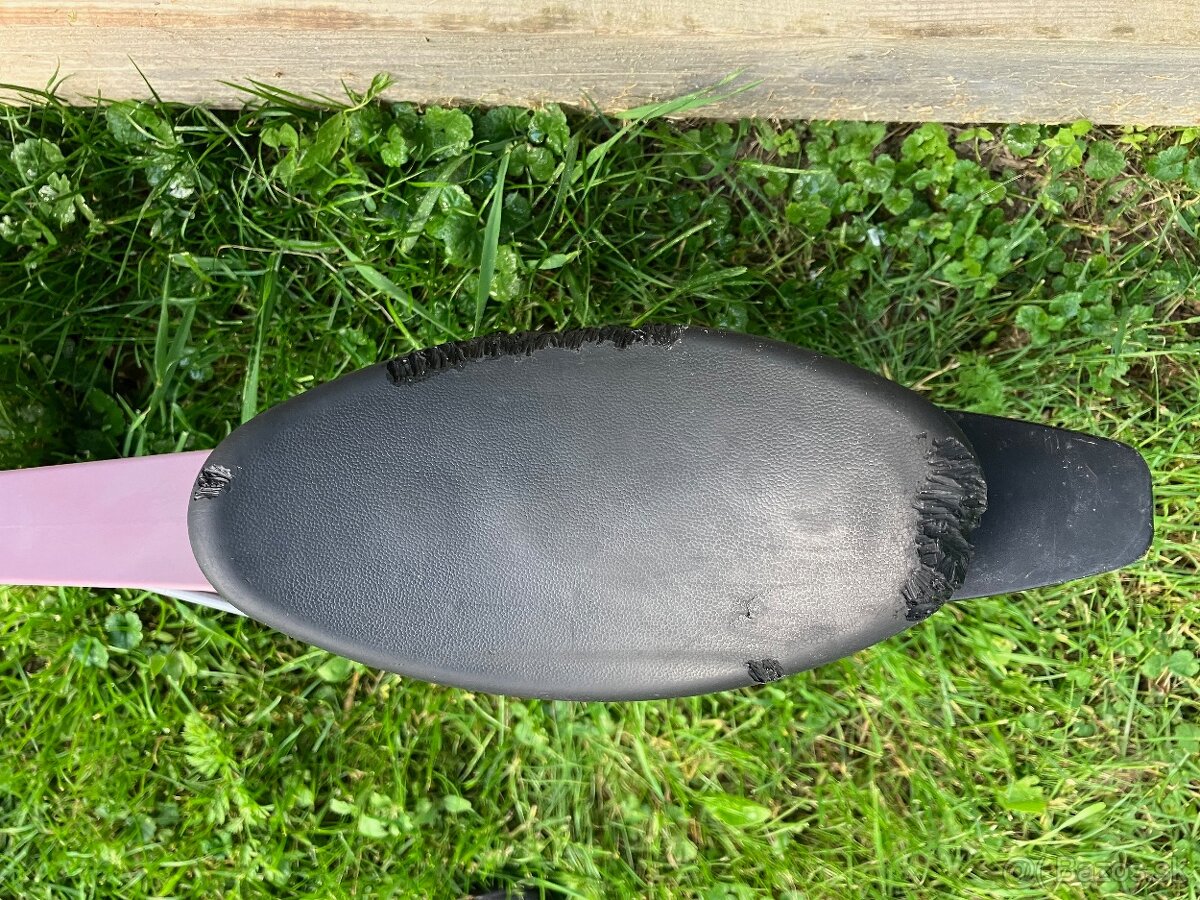 Detské odrážadlo FirstBIKE - 7