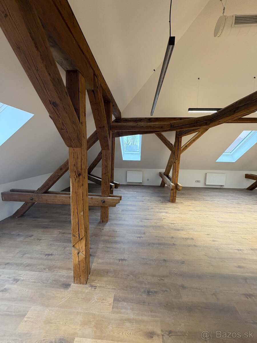 PRENÁJOM- OBCHODNÉ PRIESTORY - NITRA CENTRUM - 7