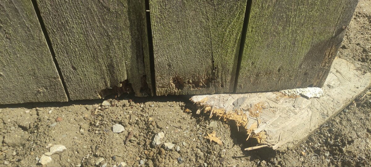 Latrína , Kadibudka - 7