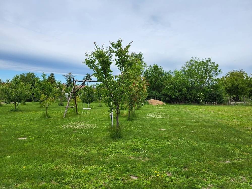 Dunakiliti – Rekonštruovaný dom a garzónka na veľkom pozemku - 7