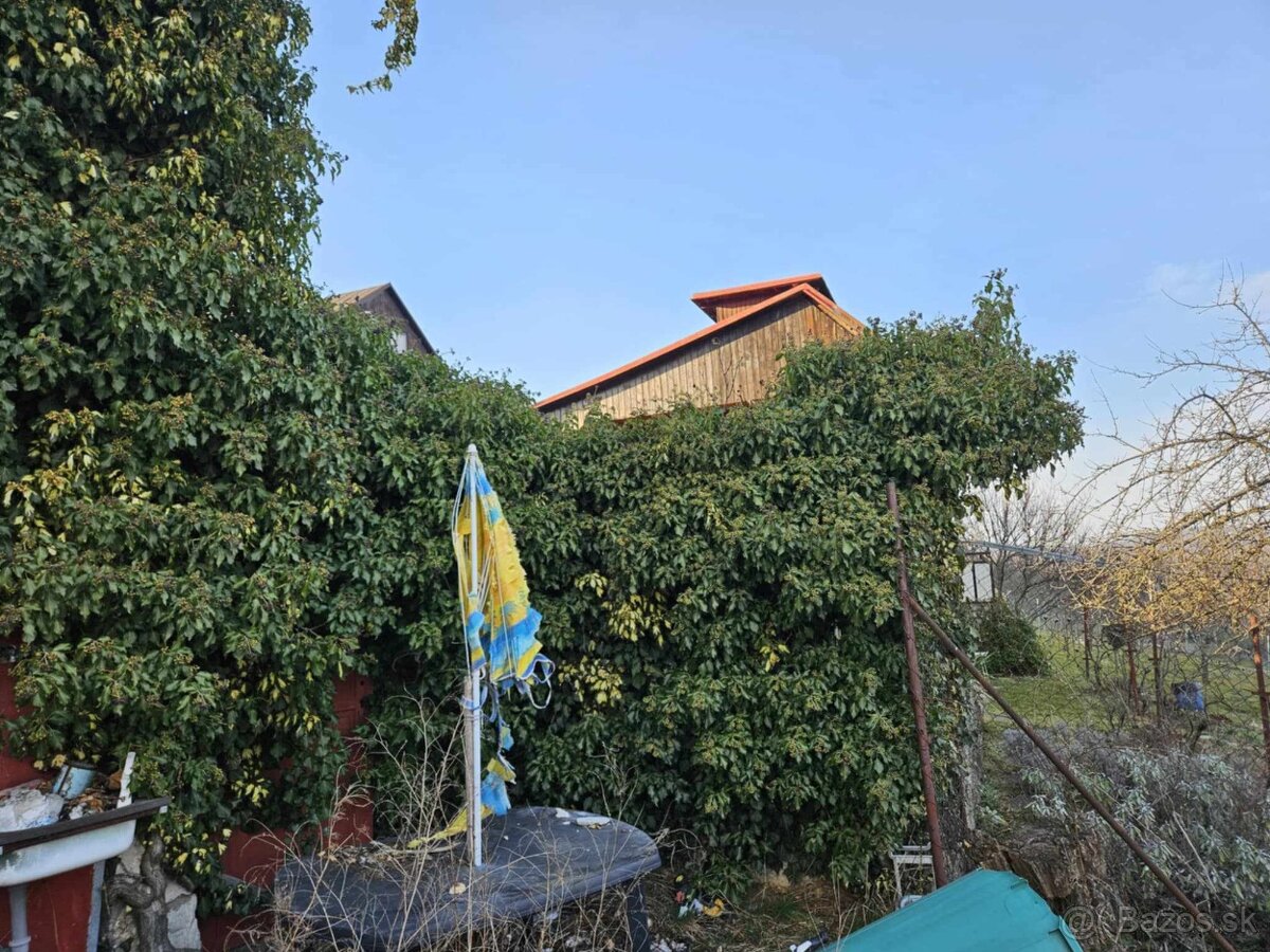 Predám pozemok v záhradkárskej oblasti Šípkové -AKTUÁLNE - 7