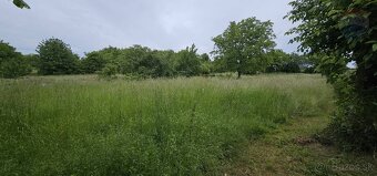 Predaj pozemok Nitra / Mojmírovce 3082 m2 EXKLUZÍVNE - 7