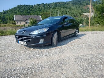 Peugeot 407 sw - 7