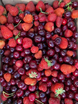 Stavebná parcela v obci Somotor - 7