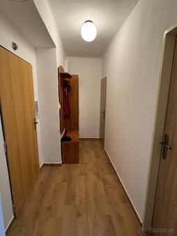 1 izbový tehlový byt po kompletnej rekonštrukcii na prenájom - 7