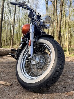 VN 800 Bobber - 7