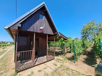 Predáme hajloch viničná chatka s krásnym vinohradom Maňa - 7