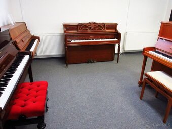 nádherné americké piano za Super cenu s All inclusive - 7