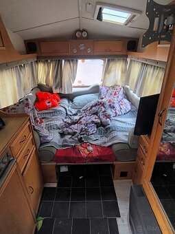 Castlton HL Rosella - 7