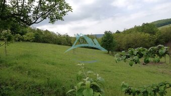 Dva malebné vidiecke domy na rozľahlom pozemku (1,6ha) v osa - 7