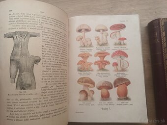 Jenny Springerová: Domáci lekárka I.,II., 1925 + rozkladacie - 7